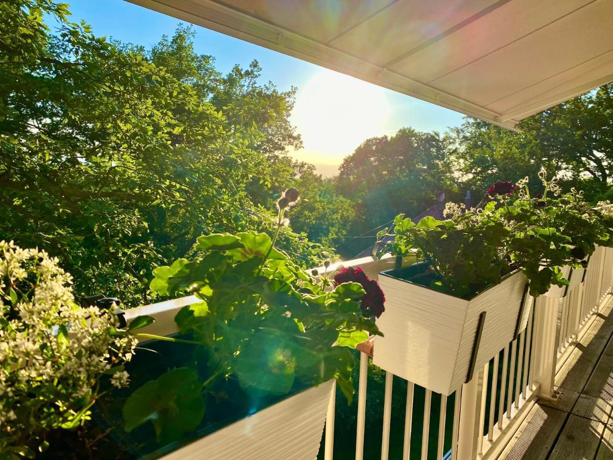 Ferienwohnung Natur Und Kunst Дрезден Екстер'єр фото