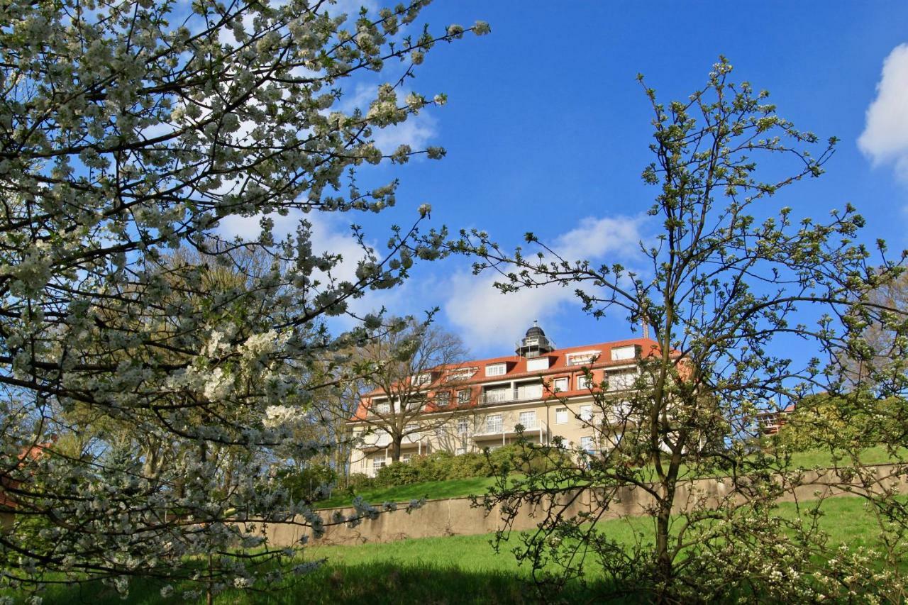 Ferienwohnung Natur Und Kunst Дрезден Екстер'єр фото