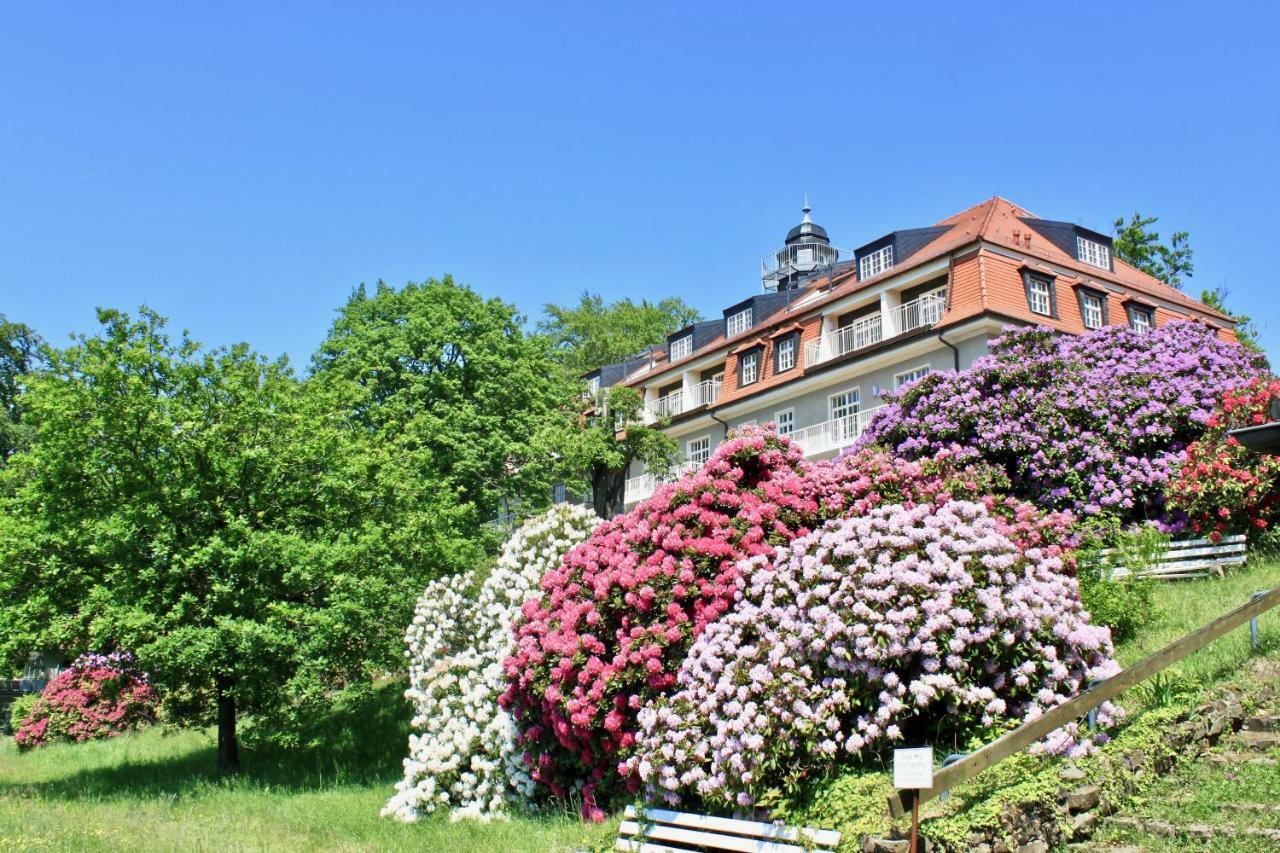 Ferienwohnung Natur Und Kunst Дрезден Екстер'єр фото
