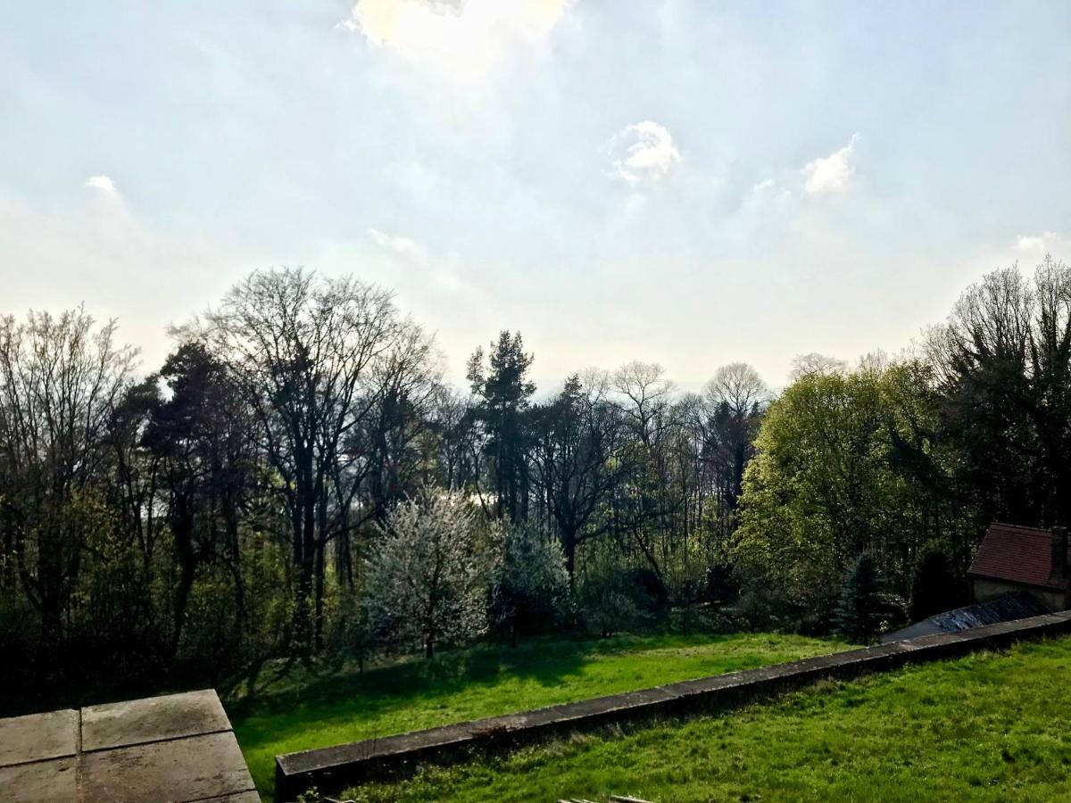 Ferienwohnung Natur Und Kunst Дрезден Екстер'єр фото