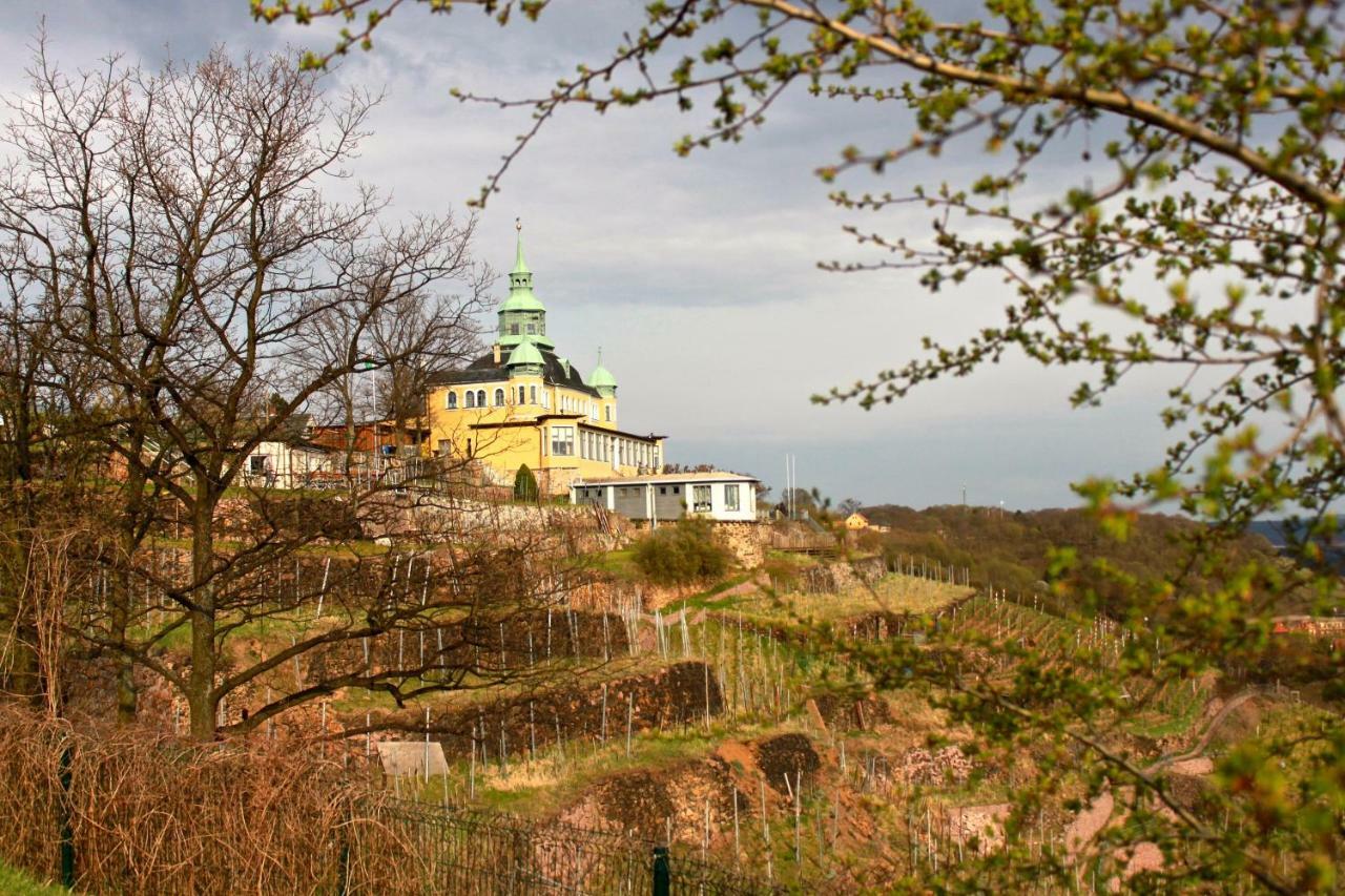 Ferienwohnung Natur Und Kunst Дрезден Екстер'єр фото