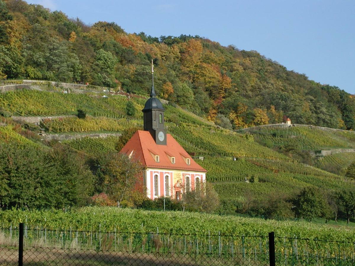 Ferienwohnung Natur Und Kunst Дрезден Екстер'єр фото